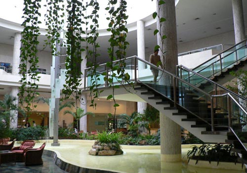 Куба, Гавана, отель Tryp Habana Libre 5* 