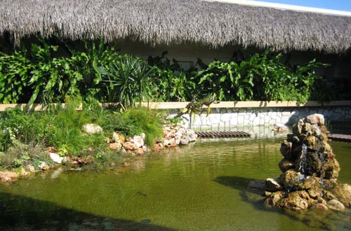 Куба, Варадеро, отель Iberostar-Varadero